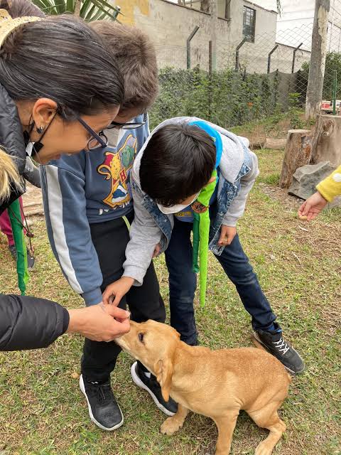 San Borja amigable con las mascotas